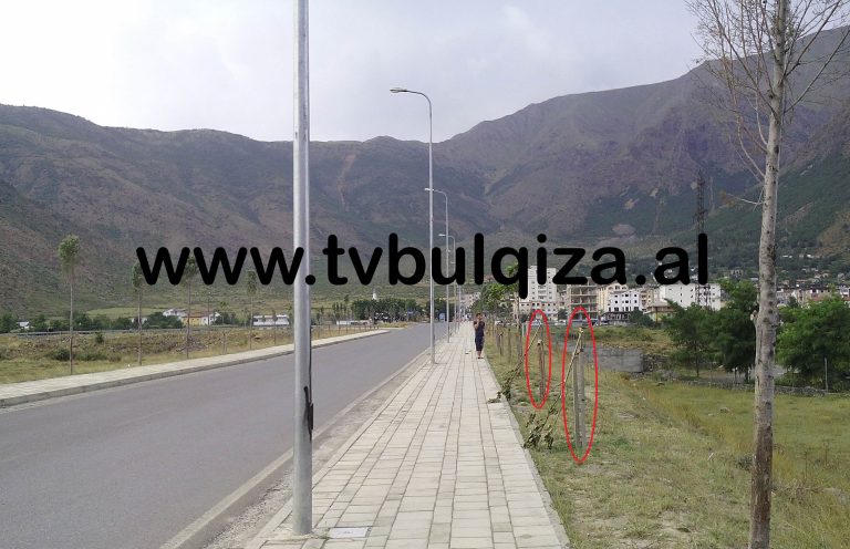 Bulqizë, dëmtohen pemët në rrugën që lidh Qytetin e Vjetër me të riun