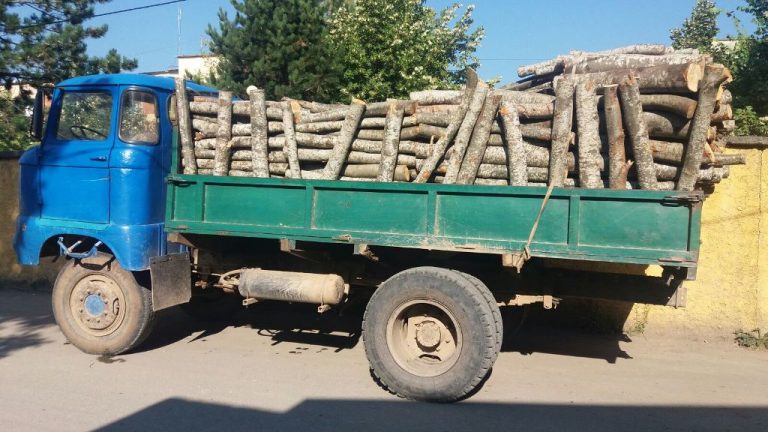 Procedohen dy persona në Dibër, transportuan dru pa dokumentacion