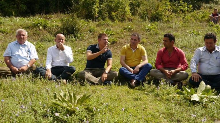 Reagon ASHE pas denoncimit të PD për blerje votash në zgjedhjet e Dibrës