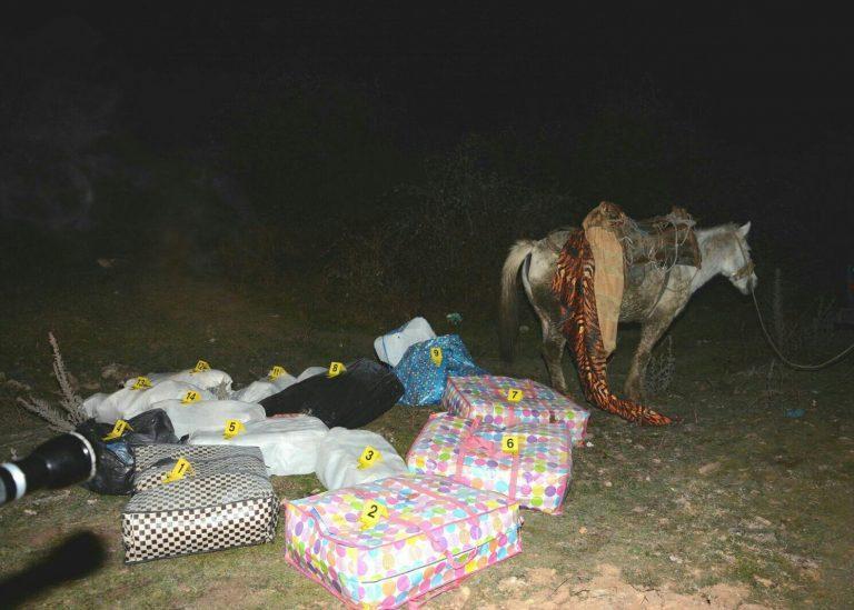 Sekuestrohet nga Policia Kufitare 122 kg lëndë narkotike Cannabis Sativa, që transportohej me një kafshë dore.