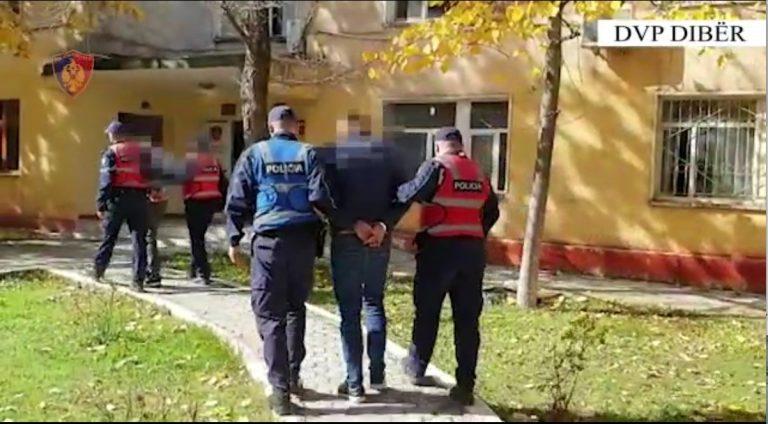 Bulqizë/ Arrestohen 6 persona. Ja veprat penale për të cilat akuzohen?
