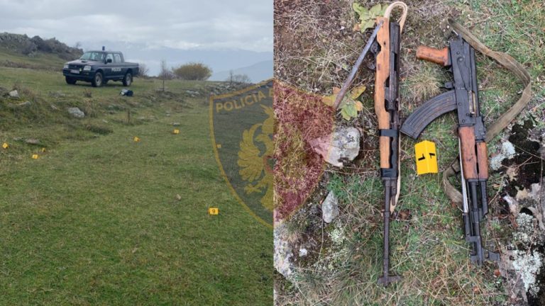 Plagosi aksidentalisht një 15-vjeçar dhe fshehu armën e krimit, vihet në pranga i riu në Dibër