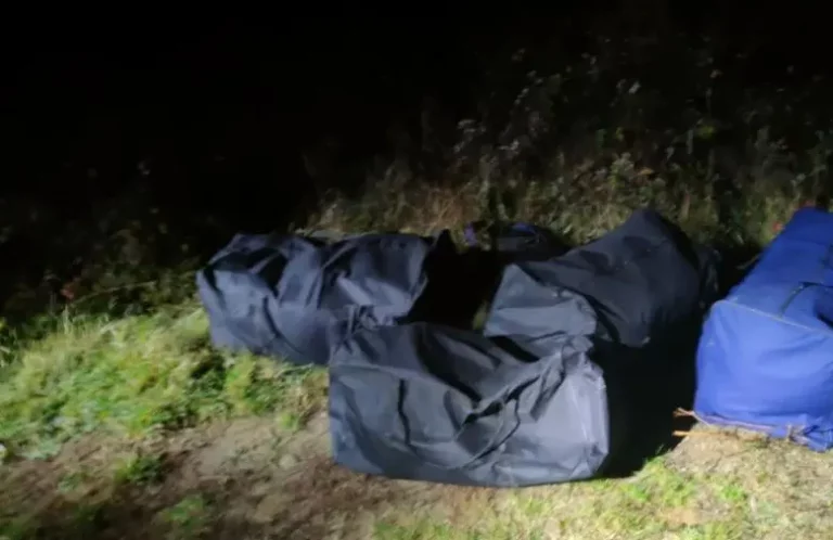 VIDEO – Po trafikonte drogë drejt Greqisë, arrestohet shqiptari me 4 thasë me kanabis