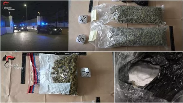 Shkatërrohet grupi i trafikantëve të drogës në Itali, në pranga dhe një shqiptar