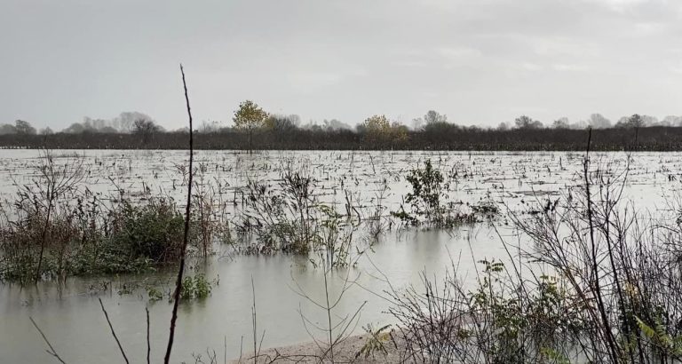 Vendi nën pushtetin e ujit, Ministria e Mbrojtjes: Ja cilat janë zonat më problematike