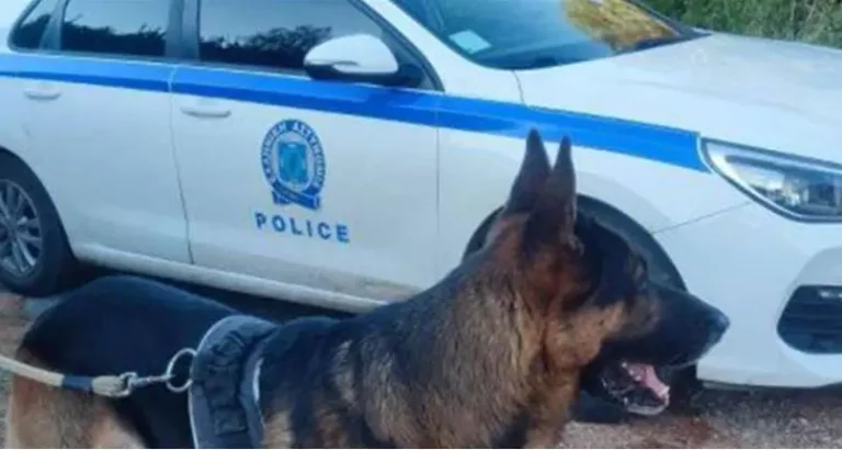 EMRI – U gjet i pajetë i varrosur në një plazh të Greqisë, identifikohet 31-vjeçari shqiptar. Ndalohen 3 të dyshuarit për vrasjen e tij