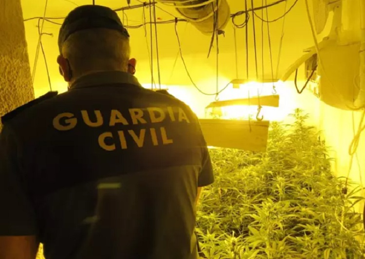 Arrestohet 21-vjeçari shqiptar, ishte pjesë e bandës së drogës në Spanjë