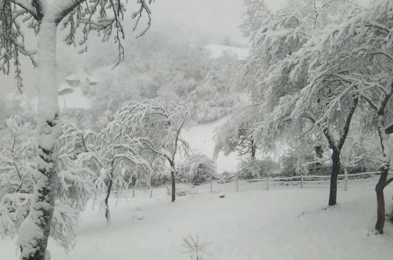 Në male priten reshje dëbore, si parashikohen temperaturat për sot