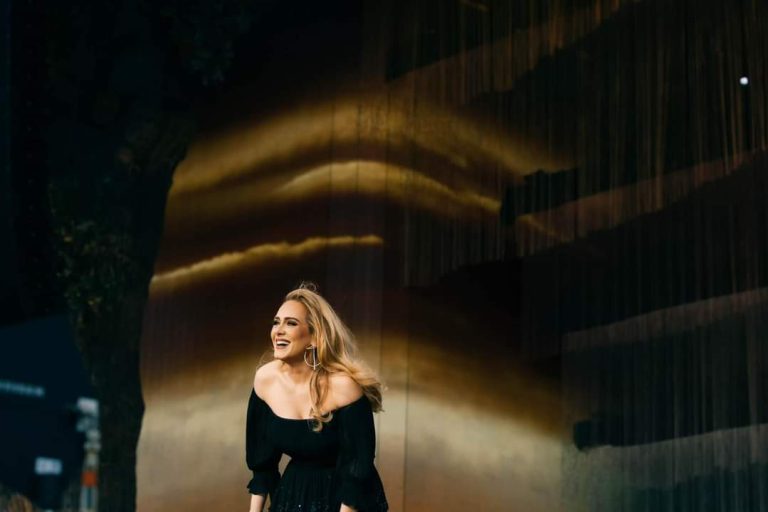 VIDEO- Emocionuese, Adele i dedikon një urim të dashurit në mes koncertit