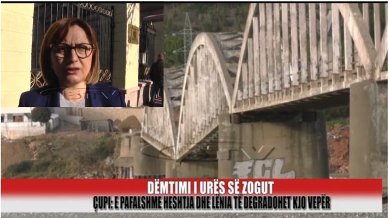 Dëmtimi i Urës së Zogut, Dhurata Çupi: E pafalshme heshtja dhe lënia të degradohet kjo vepër