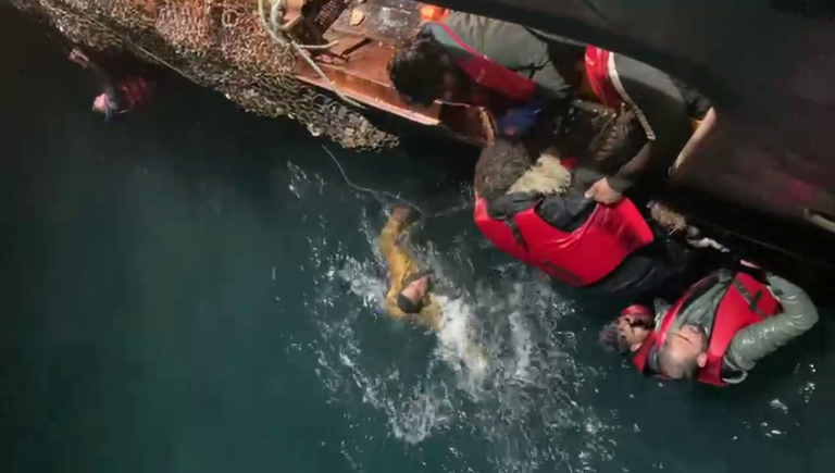 Mbytja e gomones me emigrantë në Kanalin Anglez, mes të shpëtuarve një shqiptar