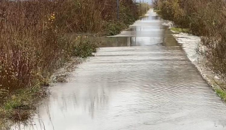 Situata nga reshjet në vend, Ministria e Mbrojtjes: Uji është tërhequr në disa zona të përmbytura