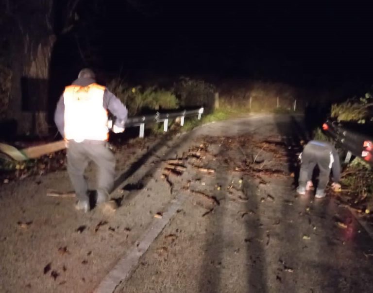 Reshje shiu në të gjithë vendin, ARRSH apel shoferëve: Tregoni kujdes të shtuar