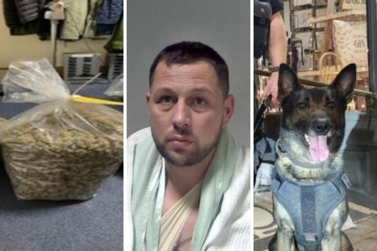 EMRI – Me 10 kg kanabis në makinë, shqiptari tenton të largohet për kapet nga qeni i policisë