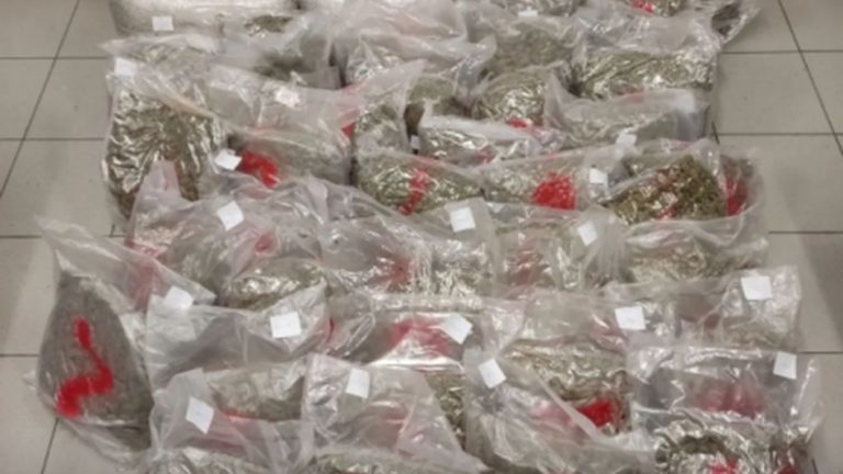 Sekuestrohen 64.5 kg marijuanë në kufirin greko-shqiptar, arrestohen dy shoferët grekë