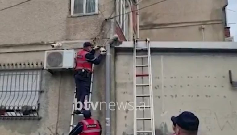 “Big Brother” i bandave kriminale/ Pas Shkodrës dhe Vlorës, zbulohen 47 kamera në Durrës, Shijak dhe Krujë