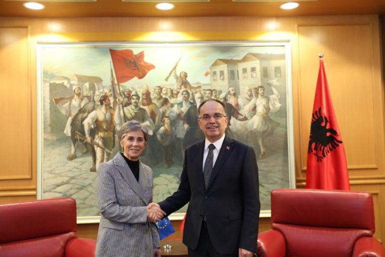 Raportuesja për Shqipërinë në PE vizitë në Tiranë, takohet me Begajn