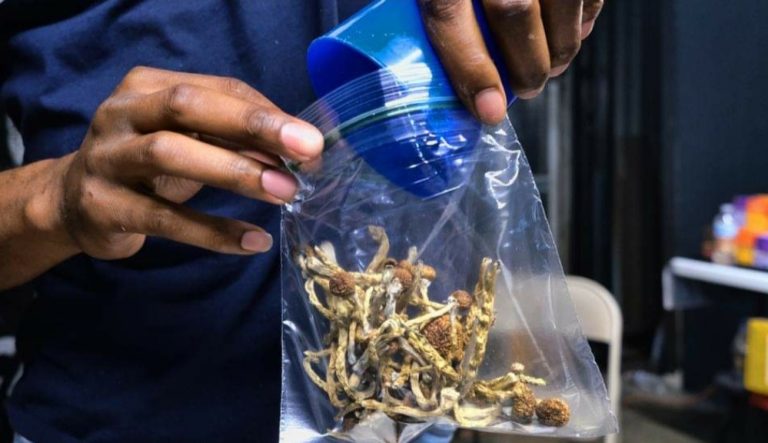 Australia legalizon droga psikedelike për përdorim mjekësor