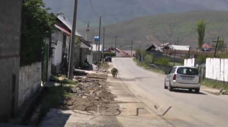 VIDEO – Merr zgjidhje problemi, rehabilitohen ujërat e zeza në fshatin Vojnik
