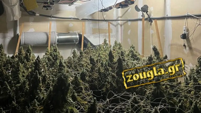 Kanabis dhe llogari bankare në Britani, shpërbëhet banda kriminale trafikut të drogës, tre shqiptarë të arrestuar në Greqi