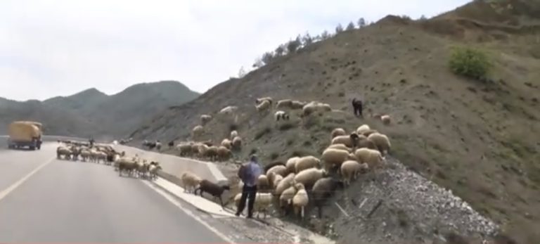 Nis shtegetimi i bagetive drejt staneve ne zonat malore