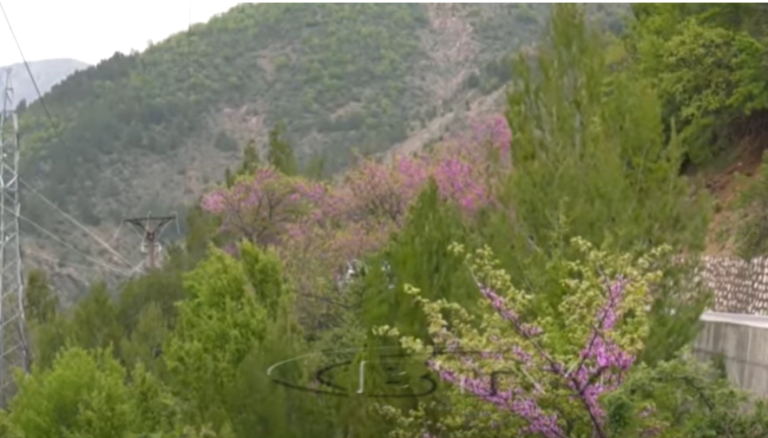 VIDEO – Merren masat për sezonin turistik, prefekti i Dibrës: Task-forca është në terren, në shërbim të qytetarëve