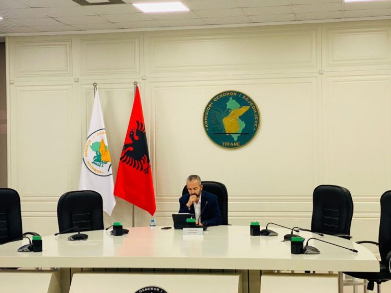 Humbja në Kamzë, të rinjtë e koalicionit “Bashkë Fitojmë” protestojnë nesër para KQZ-së