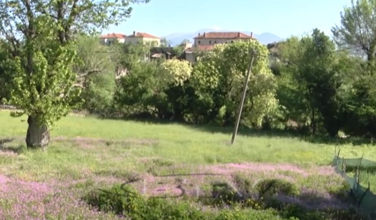 VIDEO – Harrohet dhe festa e Shën Gjergjit, largimi i banorëve zbeh festimet