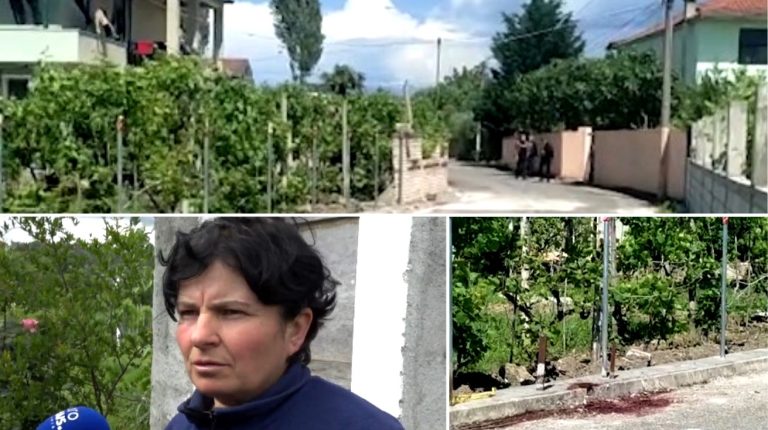 I vrau motrën me sëpatë, flet gruaja e autorit dhe tregon motivet e krimit makabër: U nxeh se nuk i hapi telefonin