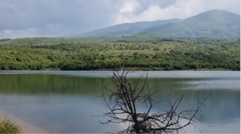 Dibër/ Po ruante bagëtitë, mbytet në liqenin e fshatit 13-vjecari