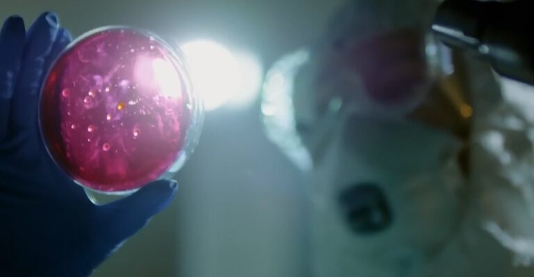 Studimi i fundit, niveli i ulët i oksigjenit rrit jetëgjatësinë