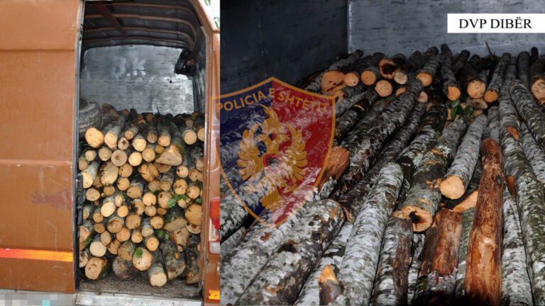 Dibër: Trasportonin lëndë drusore të prerë ilegalisht, procedohen penalisht 4 shtetas.