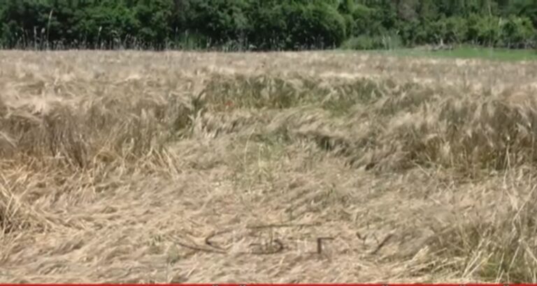 VIDEO – Moti me shi i javës së kaluar la pasoja të shumta në bujqësi