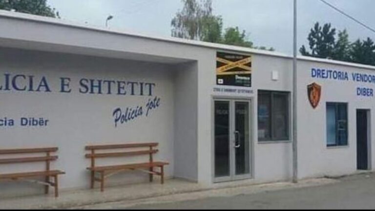 Dibër/ Po trasportonin lëndë drusore, procedohen penalisht dy shtetas