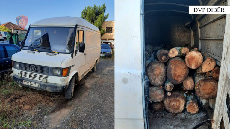 Dibër/ Trasortonim lënde drusore ilegalisht, procedohen dy shtetas