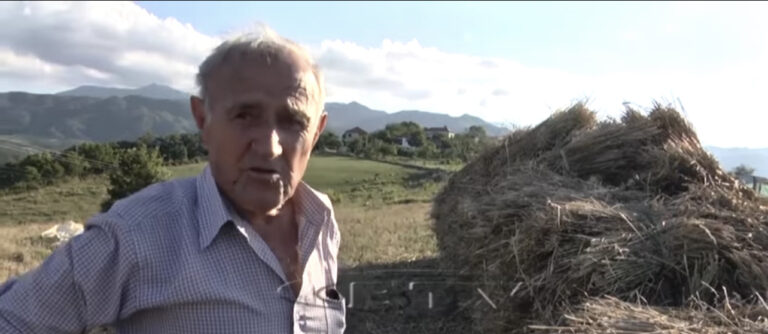 Një jetë pune me autokombajne,sivjet prodhim I dobet