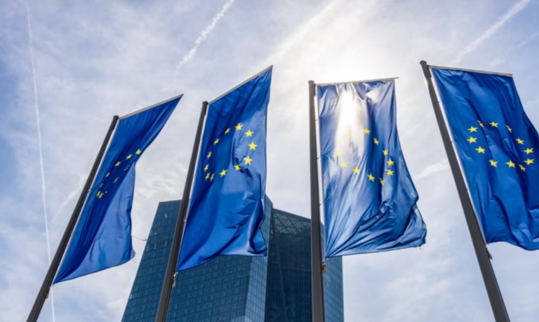 Rruga drejt BE/ Ambasadorja Hohmann: Forconi gjyqësorin, nuk ka kohë për pushim