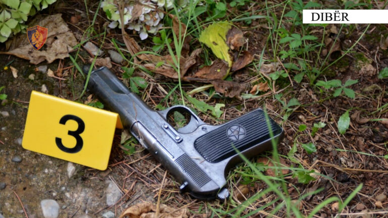 Dibër/ Qëlloi me armë zjarri në ajër pas një konflikti, arrestohet 33-vjeçari