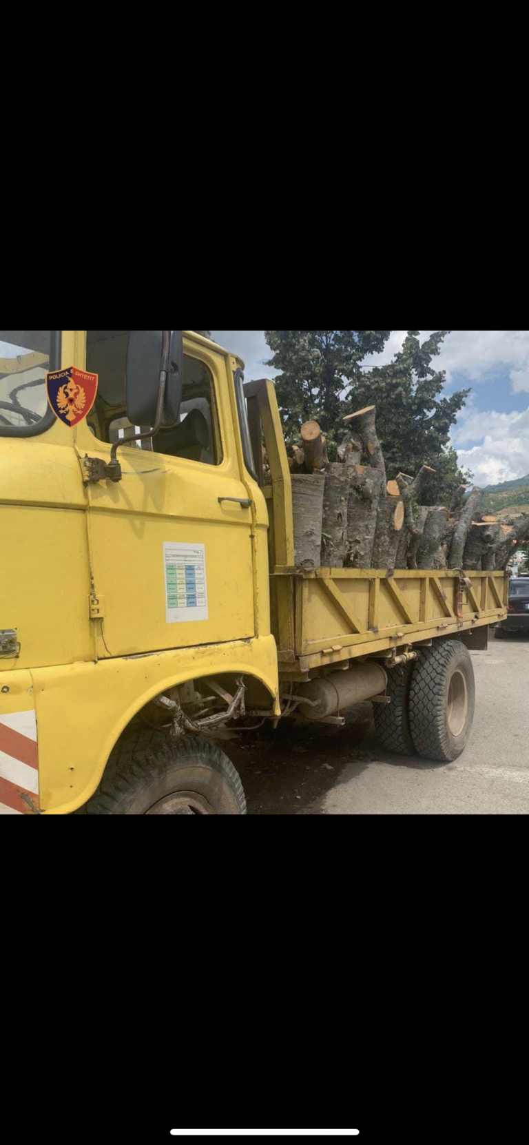 Dibër/ U kap duke trasportuar lëndë drusore, procedohet 41-vjeçari