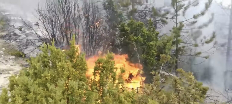 Situata e zjarreve në Qarkun Dibër