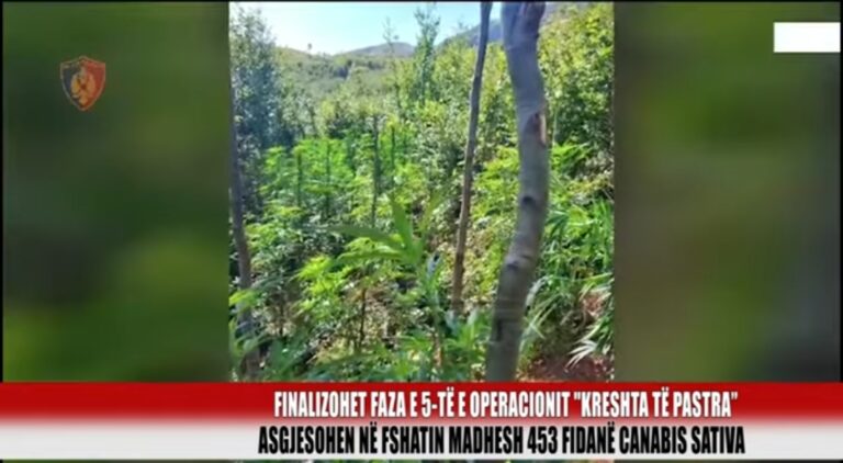 Mat/ Finalizohet faza e 5-të e operacionit “Kreshta të pastra”