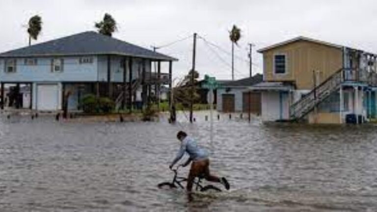 Stuhia Harold godet Teksasin