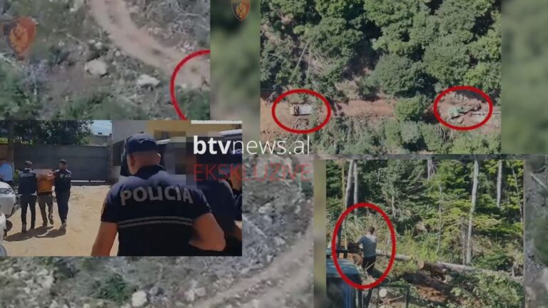 Bulqizë/ Prenë masivisht sipërfaqe pyjore në zonë të mbrojtur, arrestohen 3 shtetas: Në kërkim dy vëllezërit