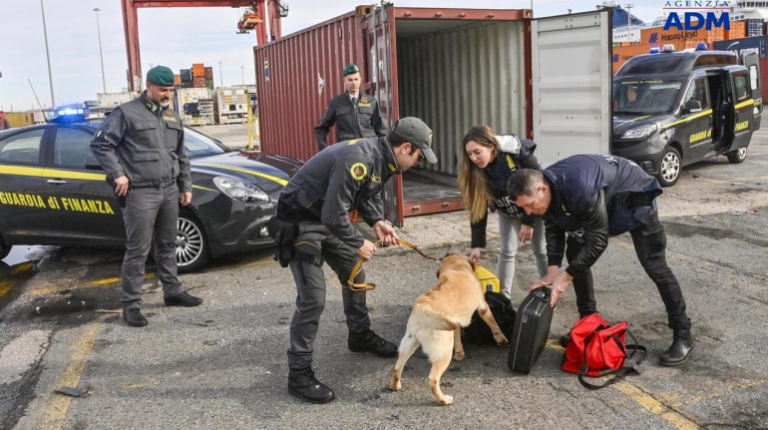 EMRI/ Kokainë mes ngarkesës me karkaleca nga Ekuadori, arrestohet 23-vjeçari shqiptar në Itali, do të sillte 35 mln euro fitim