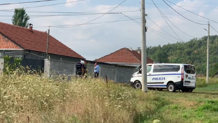 E ngriti nga buka në mes të natës dhe e vrau para shtëpisë, ‘arrest me burg’ për 30-vjeçarin në Bulqizë