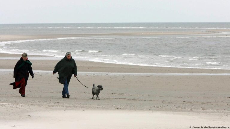 4 mijë hapa në ditë për një jetë më të gjatë