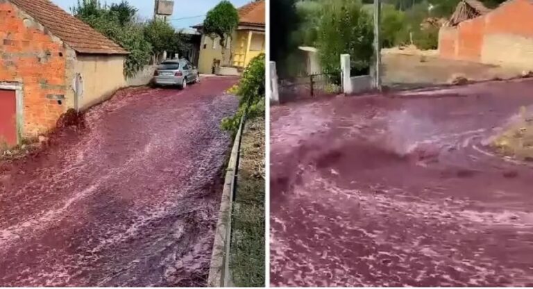 E pazakontë, qyteti portugez përmbytet… nga vera e kuqe