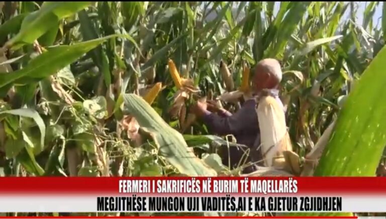 Fermeri i sakrificës në Burim të Maqellarës