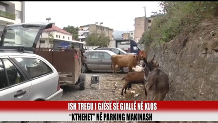 Ish-tregu i gjësë së gjallë në Klos “kthehet” në parking makinash
