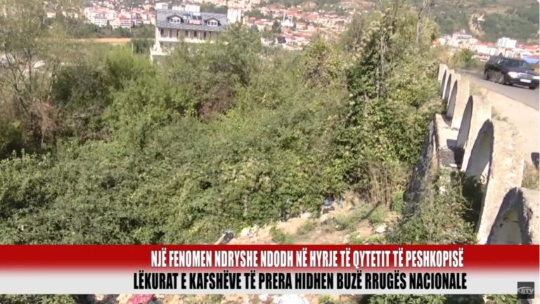 Dibër/ Lëkurat e kafshëve të prera hidhen buzë rrugës nacionale